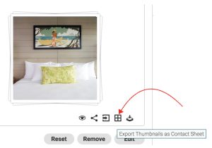 Export Thumbnails as Contact Sheet
